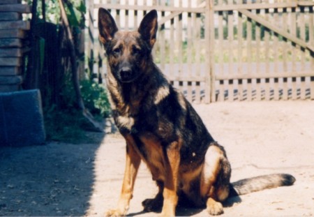 BELA Fihrak